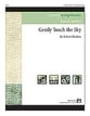 Gently Touch the Sky Concert Band sheet music cover